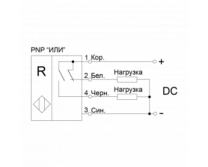 R-PNP-NO-NC