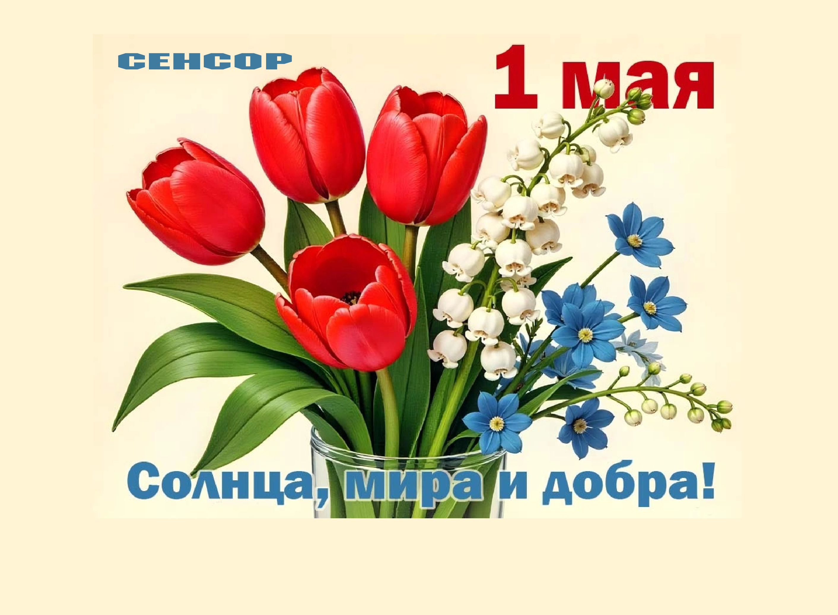 1 МАЯ 2025-02